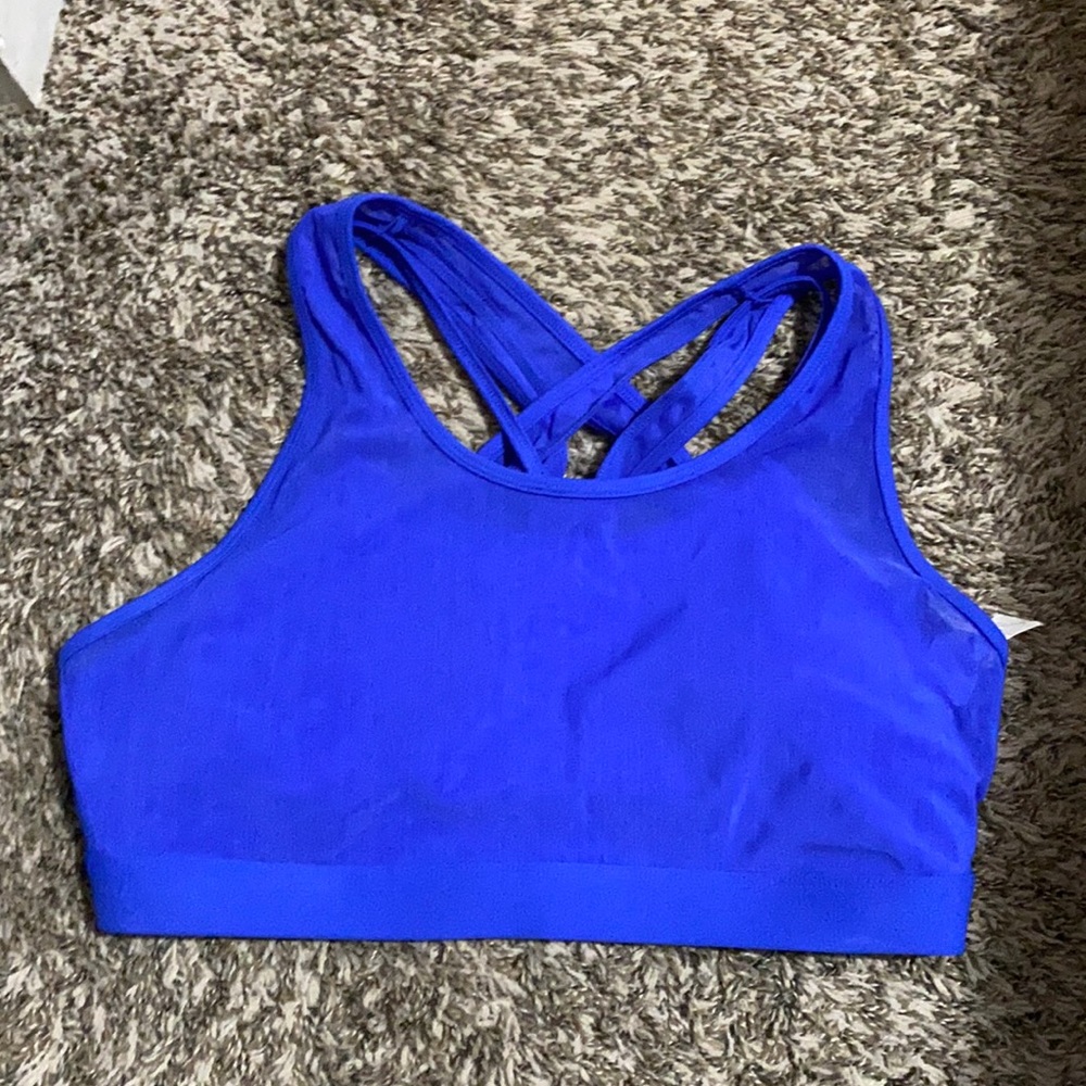 Fabletics sport bra